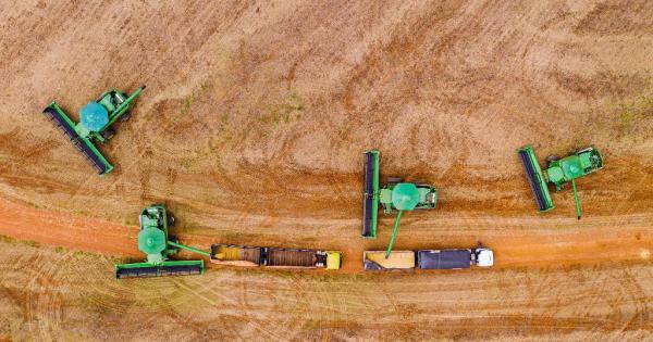 MT consolida estratégia de diversificação internacional com abertura de 15 novos mercados